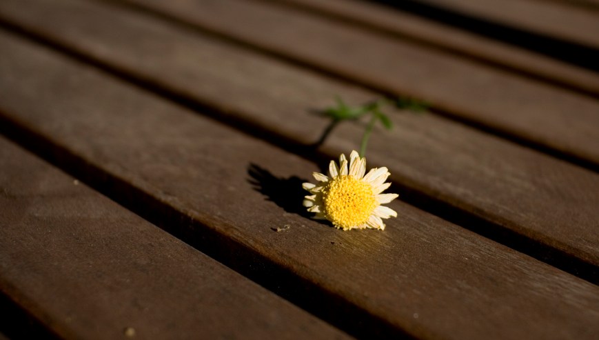 Stop Telling Me That I Am Not Alone – Bipolar Frustration Rant